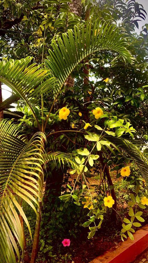 Stan-Inn, North Goa, Vagator, With Strong Wifi,Free Private Parking & Kitchen, Can Cook Where You Stay 外观 照片